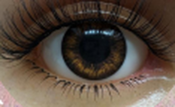 1#Brown