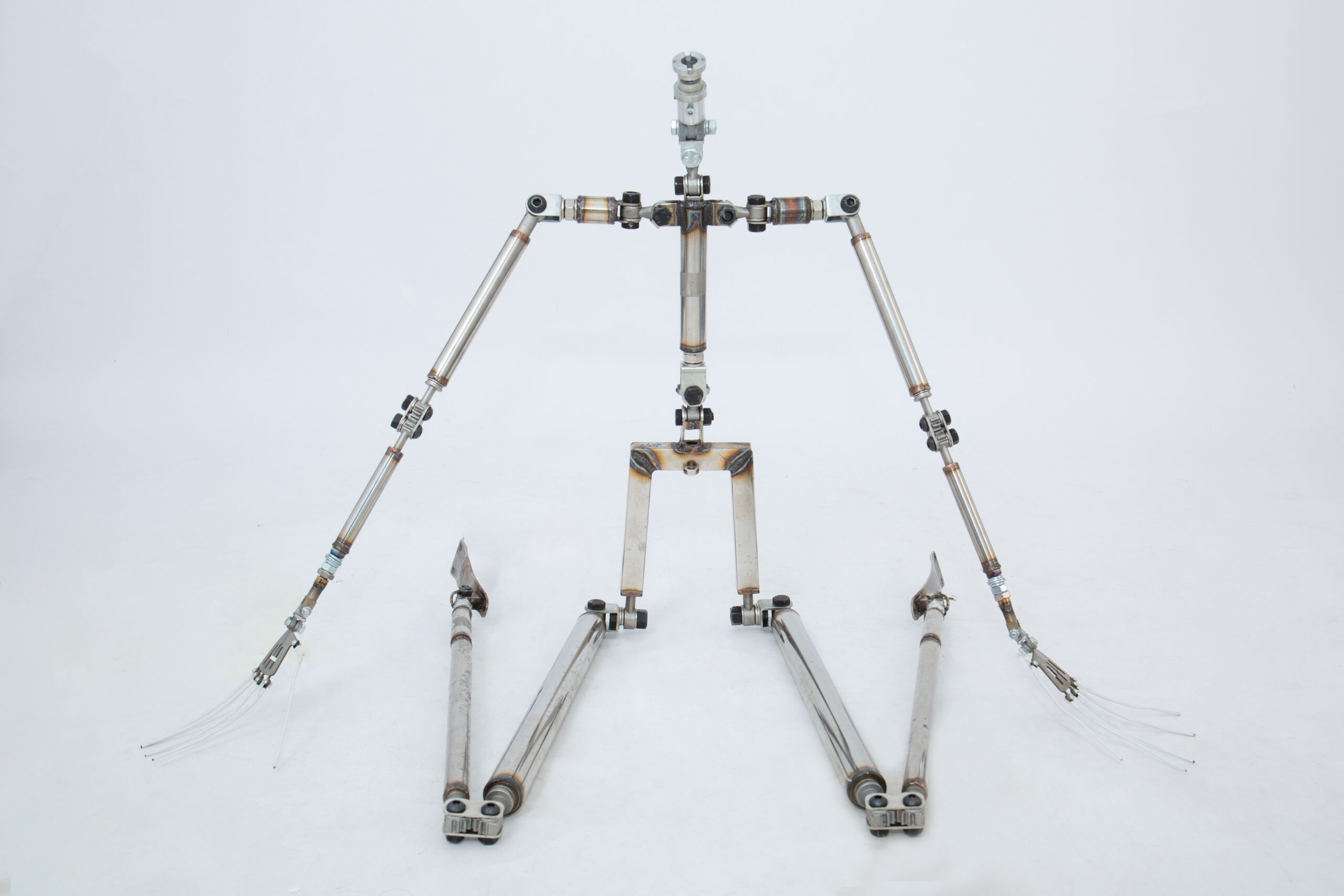 EVO Skeleton
